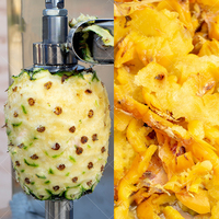 Kokosverwerkingslijn - Kokos snij-/blokjes-/strookjes-/schilmachine voor fruit en groenten, hoge productiviteit, bakkerijapparatuur