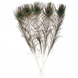 Belle plume de queue de paon de couleur naturelle 32-36 pouces (80-90 Cm) de haute qualité écologique Long Big Eye motif brut vente pas cher - Product Image 3