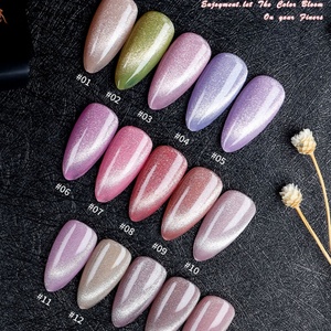 Échantillon Gratuit Usine OEM Vernis à Ongles UV Gel Couleur Soak-Off Marque Privée Colle à Ongles de Haute Qualité - Product Image 6