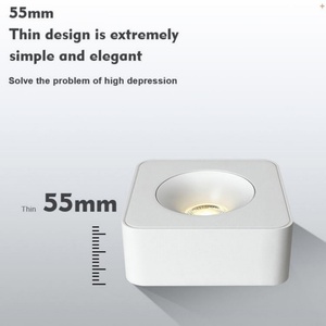 <b>Spotlight</b> High Quality Factory Direct Sales COB 10w 20w 30w 40w Led Wall Washer Adjust Hotel Lighting - Product Image 6