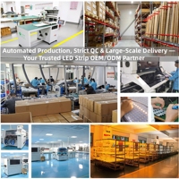 Bande lumineuse LED 2835 haute densité 12V 24V, 240 LED, 80RA+, étanche IP65, PVC 8mm, rétroéclairage pour armoire, comptoir, cuisine, bar