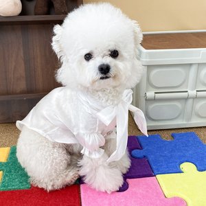 Chemise blanche gaufrée Moonlight pour animaux de compagnie, vêtements pour chiens et chats, pour Maltese, Bichon Frise, Pomeranian, toutes saisons, élégante et décorative - Product Image 3