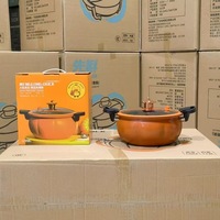 Casserole à micro-pression multifonctionnelle en fonte antiadhésive de 8 L, pot à soupe de citrouille avec revêtement Wheatstone