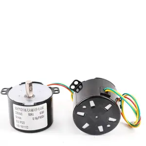 Manufacture Supplier 50KTYZ Permanent Magnet Synchronous Motor 220V Controllable Cheap Micro AC Motor