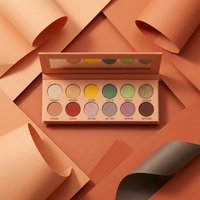 Palette de fards à paupières mats 12 couleurs orange corail, paillettes en vrac, pour maquillage cosmétique, logo personnalisé, marque privée