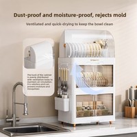 Égouttoir à Vaisselle Grande Capacité NFS avec Couvercle Anti-Poussière, Rangement de Cuisine en Plastique
