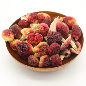 Jamur Himalaya Segar Berkualitas Tinggi, Jamur Merah Korea yang Dapat Dimakan - Product Image 1