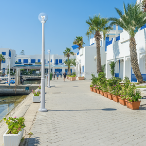 Farolas LED Modernas para Exteriores LiOA Vietnam, Modelo Cuadrado T300-HD, IP65, Alimentación CA, 5000K CCT, para Jardín y Calle, Diseño Moderno - Product Image 1