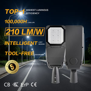 Lampadaire LED IP66 IK09 pour la modernisation de l'éclairage urbain dans les villes d'Amérique latine - Product Image 1