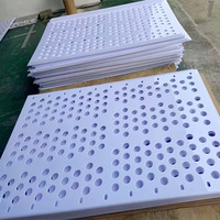 Disques Circulaires en PMMA Rond Clair à Percer et Graver, Ébauches Acryliques Rondes avec Trous