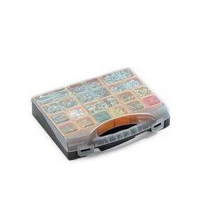 TERRY - <b>BINS</b> ORGANIZER 16 - <b>Plastic</b> Organizer with <b>Lid</b> and 16 Removable <b>Bins</b> - Product Image 2