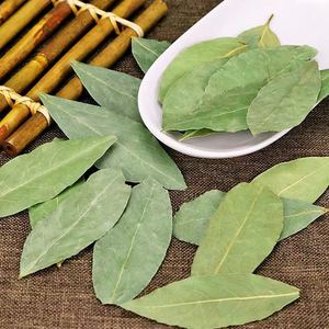 جوان بالجملة التوابل الفردية والأعشاب أوراق خيشوم عالية الجودة مجففة سعر منخفض أوراق اللور طبيعية خضراء أوراق خيشوم - Product Image 5