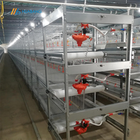 Cage à poulets en acier galvanisé à chaud de type H, équipement pour l'élevage de poulets de chair, état neuf, cages pour animaux