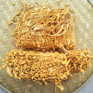 Cogumelo <span class=keywords><strong>Cordyceps</strong></span> <span class=keywords><strong>Militaris</strong></span> Orgânico Seco de Alta Qualidade Yong Chong Cao para Sopas Instantâneas - Product Image 1