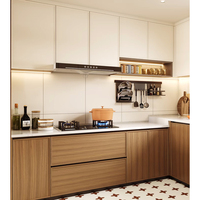 Conception clé en main de meubles modernes sur mesure pour toute la maison, armoires de cuisine, ensemble de rangement de cuisine moderne modulaire et écologique