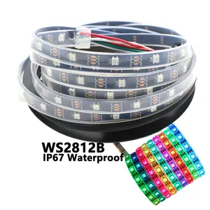 2812 LED Strip 10M 30 60 144 LEDs/M Luar Ruangan IP67 Tahan Air 5050 SMD WS2812 Addressable Digital Warna Sihir Suasana Cahaya Bar