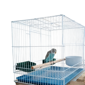 Cage à oiseaux de qualité supérieure pour oiseaux de spectacle et perroquets de compagnie, structure en fer robuste avec portes verrouillables pour la sécurité - Product Image 4