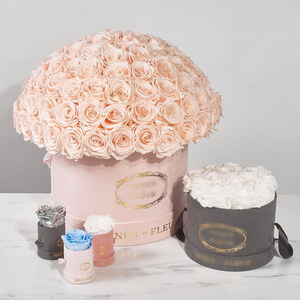 Rosas Eternas Preservadas para Siempre, Envío Directo, Rosas Beaulasting en Caja, Rosa Eterna Preservada - Product Image 1