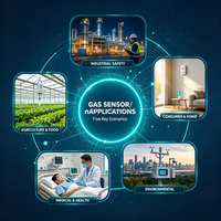 Module de capteur de gaz personnalisé : Conception, développement et support fiables et stables pour la détection de H2S, NH3, COV, O2 – Module de capteur de gaz OEM/ODM