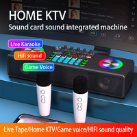 SY169 Carte son live tout-en-un avec haut-parleur et 2 micros sans fil pour Bluetooth 5.0 et AUX 3,5 mm, batterie 2000 mAh – Machine de karaoké portable pour