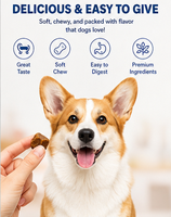 Comprimés à mâcher pour chiens et chats, mélange probiotique et prébiotique, texture lisse, absorption rapide, pour le bien-être immunitaire et digestif, riche en protéines