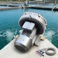 Penjualan Terlaris 5.4 HP 4/4.6kW Blower Regeneratif Tekanan Tinggi Ring Air Blower untuk Sistem Aerasi Tambak Ikan Akuakultur