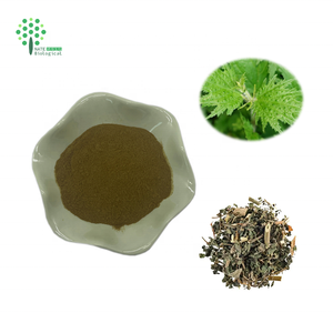 Brandnetel <span class=keywords><strong>Extract</strong></span> Brandnetelblad <span class=keywords><strong>Extract</strong></span> Poeder - Product Image 3