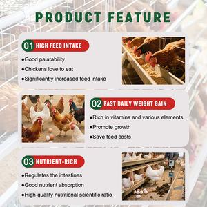 Pluimvee Samengestelde Kip <span class=keywords><strong>Premix</strong></span> Diervoeder Bevordert De Groei En Levert Voedingssupplementen Als Toevoegingsmiddel Voor Diervoeding - Product Image 5