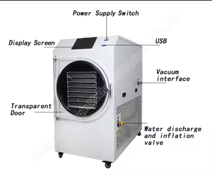 Vacuum Dryer Machine Food Freeze Dryer Freeze Dry Machine Vacuum Dryer Price - Product Image 6
