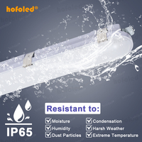 Luz de Emergencia Tri-Proof con Batería de Respaldo LiFePO4, Duración 3 Horas, Mantenimiento/Prueba Automática, EN 60598-2-22 IP66, para el Mercado del Reino Unido y Alemania