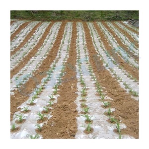 Nhà kính Rau Bìa PE phim mulching <span class=keywords><strong>Sheets</strong></span> nông nghiệp nhựa mulch phim cuộn chống cỏ - Product Image 3