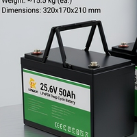 Batterie au lithium rechargeable LiFePO4 LongKun 12V 12.8V 100Ah à décharge profonde pour camping-car, solaire, marine, moteur de pêche à la traîne, stockage d'énergie, OEM