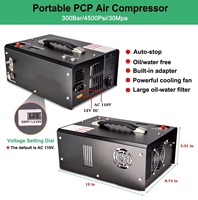 Kompresor PCP Otomatis Mati Saat Terhubung 220v110v12V Inflator Tekanan Tinggi 30mpa Kompresor Udara PCP Pompa PCP