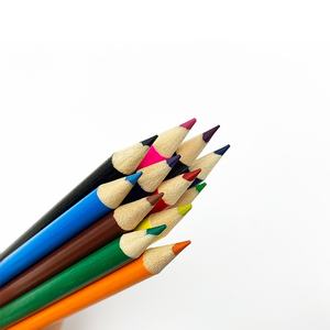 Le fabricant produit des crayons écologiques colorés avec logo personnalisé et design créatif de plantes germinantes pour une utilisation promotionnelle - Product Image 4