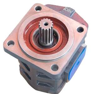 ปั๊มเกียร์ไฮดรอลิกภายในสำหรับรถตักฟัน14ซี่ CBGJ3112ประสิทธิภาพสูง - Product Image 3