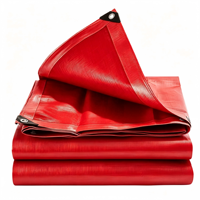 210g Vierge Nouveau Matériel Chine Étanche PE Bâche Plandeka Feuille Couverture en Taille Standard pour Ekspand Pologne Marché