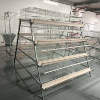 Fermes avicoles de ponte de type A de bonne qualité en matériau galvanisé Cages pour poules pondeuses