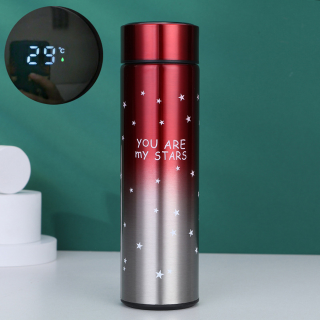 Ready to Ship Fashion Thermos Cup with Led Temperature Display