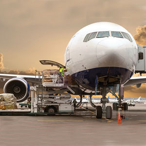 <span class=keywords><strong>DHL</strong></span> экспресс-доставка/экспедиторы для авиаперевозок из Шэньчжэня в Канаду, США, Мексика - Product Image 3