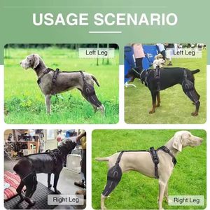 Abrazadera de LCA ajustable para perros, pierna trasera, alivia lesiones de ligamentos y dolor en las articulaciones, abrazadera de displasia de cadera para perros, rodillera para perros - Product Image 6