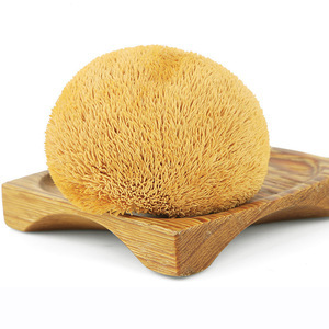 Poudre d'extrait <span class=keywords><strong>de</strong></span> <span class=keywords><strong>champignon</strong></span> <span class=keywords><strong>de</strong></span> crinière <span class=keywords><strong>de</strong></span> <span class=keywords><strong>Lion</strong></span> séchée, Polysaccharides tête <span class=keywords><strong>de</strong></span> singe - Product Image 3