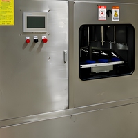 Automatische hoogproductieve machine voor het schillen, ontpitten en snijden van appels en groenten voor de fruitverwerking