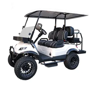 Carrito de golf eléctrico de 4 plazas, mini carrito de golf eléctrico de 2 asientos, de gasolina, carrito de golf eléctrico de 2 asientos, de 6 plazas