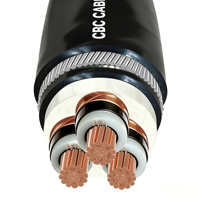 Câble souterrain blindé en cuivre XLPE PVC 6,35/11KV 33kV 3x16 3x25 3x35 3x50 3x70 3x95 3x120 3x150 3x185 3x240 3x300 3x400 SWA