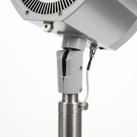 Appareil de rééducation pour chats atteints d'arthrose, infrarouge, 300W, WIRA, pour table d'opération