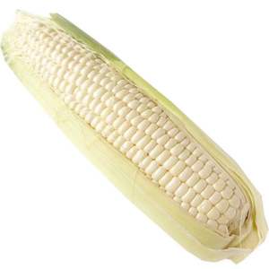 Variétés de maïs supérieures adaptées à des conditions climatiques diverses, idéales pour les parterres de fleurs et la décoration de jardins - Product Image 1