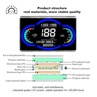Pantalla LCD Personalizada para el Panel de Instrumentos de Motocicletas, Panel de Visualización Multicolor, Suministro al por Mayor de Fábrica