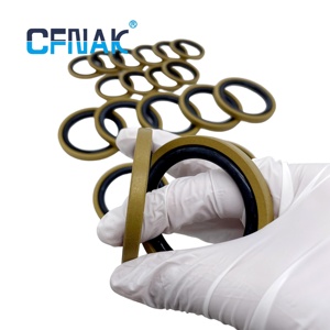 Le joint d'étanchéité CFNAK <span class=keywords><strong>Gley</strong></span> Ring possède une fonction d'étanchéité bidirectionnelle et une faible friction sans glissement. - Product Image 2