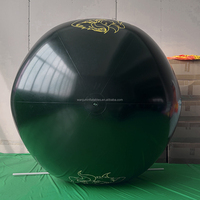 Wanjun Ballon gonflable en PVC souple de haute qualité personnalisé, ballon de plage gonflable noir à l'hélium en vente