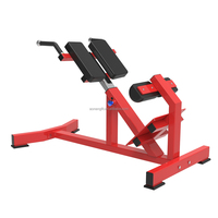 Banc d'extension dorsale professionnel à prix d'usine, en acier Q235, équipement de gym commercial multifonctionnel et sécurisé pour la musculation